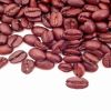 Biopesticides and biofertilizers for Crop Production