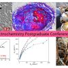 SCI Electrochemistry Postgraduate Conference 2021