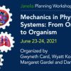 Mechanics in Physiological Systems: From Organelle to Organism