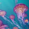 3rd Symposium on Functional Marine Biodiversity