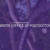 Academic Job Market Preparation Workshop Series (2021 Summer)
