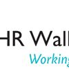 Earth Observation Scientist (at Graduate and Postgraduate levels, and above)