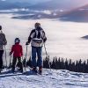 Alpine and Nordic Skiing Performance, Injury Prevention and Rehabilitation