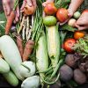Camp Eco.Logic Deep Dive - Towards Resilient and Equitable Food Systems