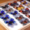 Care and Management of Natural History Collections