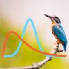 Introduction to Bayesian Inference in Practice