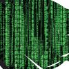 Women in Data Science: Cambridge