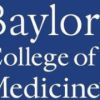 Postdoctoral Associate - Molecular Neuroscience and Disease