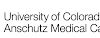 Post-Doctoral Fellow