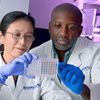 Postdoc Position in Computational Biology and Single-Cell Genomics
