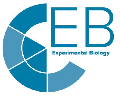 2021 ASBMB Annual Meeting