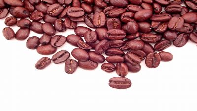 Biopesticides and biofertilizers for Crop Production