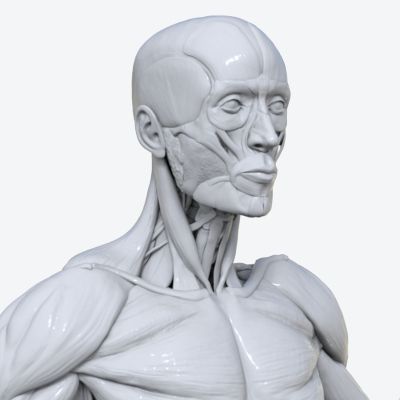 Introduction to 3D Modelling for Life and Earth Sciences