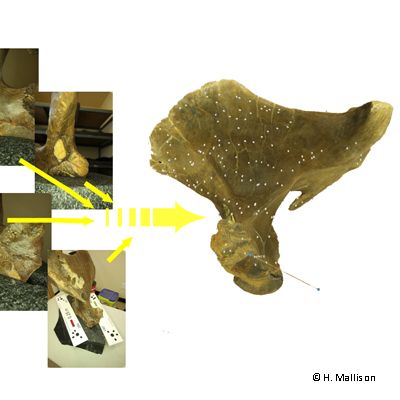 Introduction to Photogrammetry online course