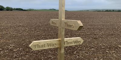 Exploring Social Design Principles